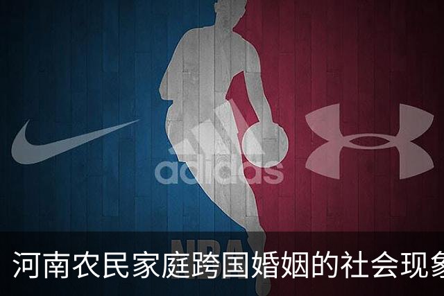 河南农民家庭跨国婚姻的社会现象分析